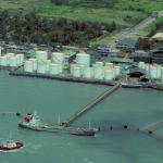 Crude oil steady after rebound, EIA data eyed