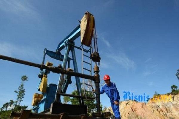 Cadangan meningkat, minyak mentah dekati harga terendah