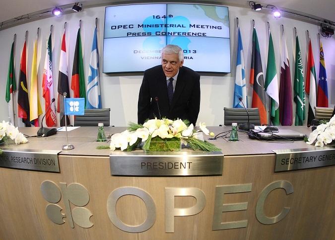 Money to burn : OPEC's wasteful energy subsidies