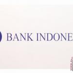 BI harapkan surplus perdagangan bisa pengaruhi rupiah