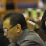 5 strategi pemerintah bawa RI menjadi negara maju