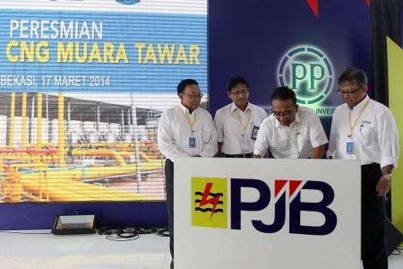Govt turns to private firms as PLN struggles