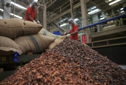 Indonesia must lift cocoa bean output to feed demand - barry