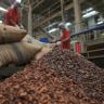 Indonesia must lift cocoa bean output to feed demand - barry