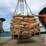 Juni 2014, Volume Jual Semen Baturaja Turun 4%; Manajemen Op
