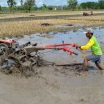 Alokasi Subsidi Non-Energi Meningkat 30,8 Persen Untuk Subsi