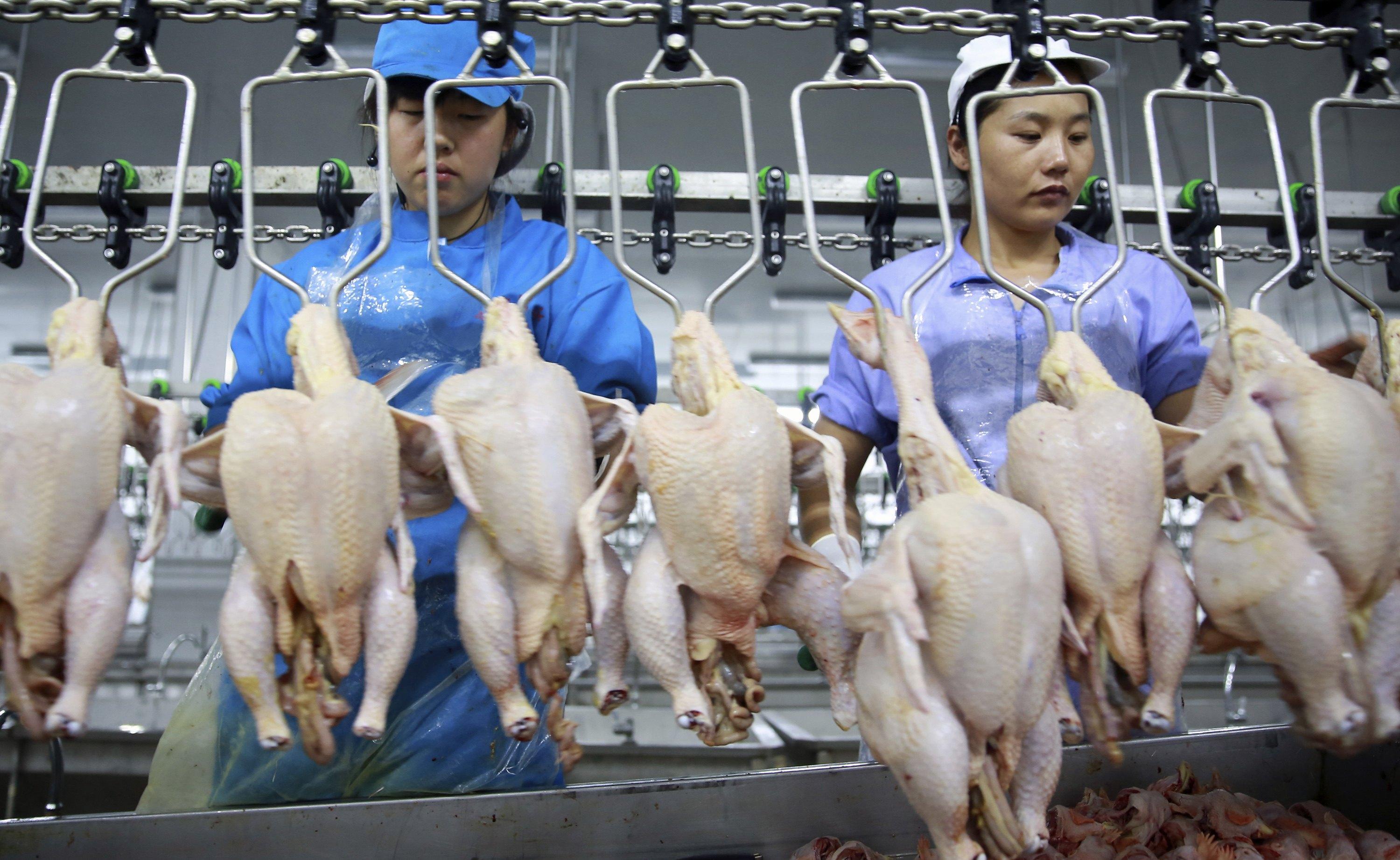 Brazil Takes Indonesia to WTO Over Chicken Imports
