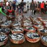 POLICY FLASH: Ekspor Ikan ke Jepang & Eropa Akan Bebas Bea Masuk
