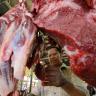 Operasi Daging Murah, Pedagang Pasar Kramat Jati Malah Dapat Untung Lebih