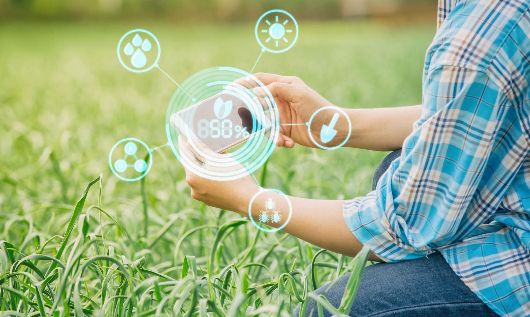 Begini Cerita Para Start Up Bantu Sektor Pertanian dan Perikanan