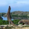 Cara Nabung Rp8.333 per Hari di Reksadana untuk Wisata ke Pulau Komodo